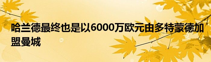 哈兰德最终也是以6000万欧元由多特蒙德加盟曼城