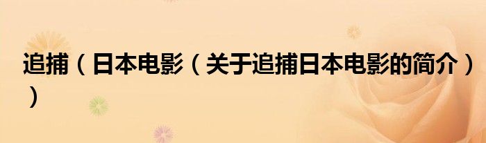 追捕（日本电影（关于追捕日本电影的简介））