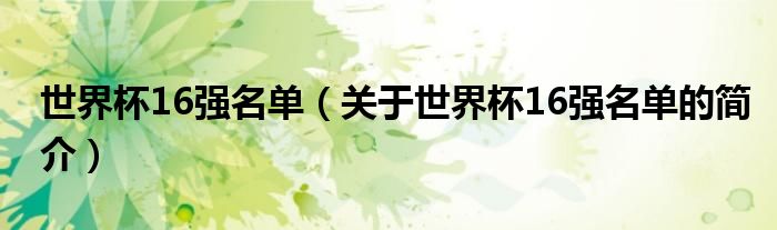 世界杯16强名单（关于世界杯16强名单的简介）