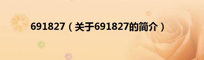 691827（关于691827的简介）