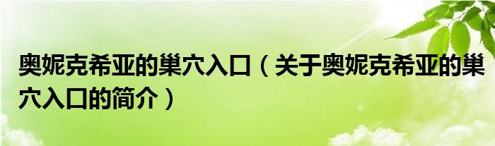 奥妮克希亚的巢穴入口（关于奥妮克希亚的巢穴入口的简介）