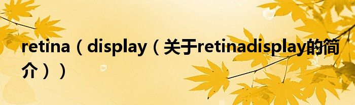retina（display（关于retinadisplay的简介））