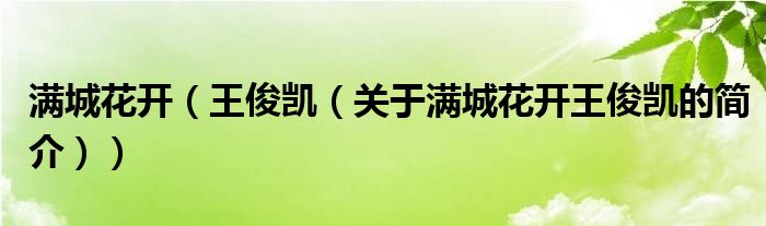 满城花开（王俊凯（关于满城花开王俊凯的简介））