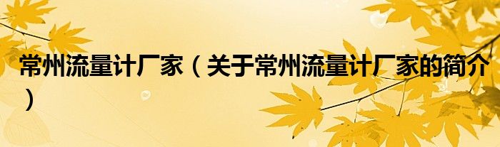 常州流量计厂家（关于常州流量计厂家的简介）