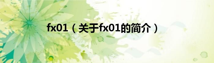 fx01（关于fx01的简介）