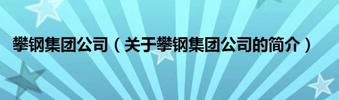 攀钢集团公司（关于攀钢集团公司的简介）