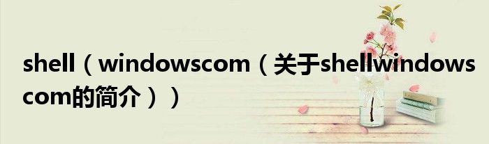 shell（windowscom（关于shellwindowscom的简介））