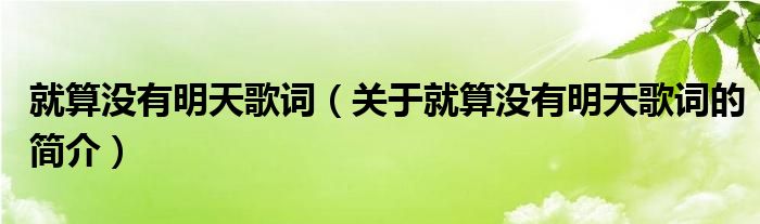 就算没有明天歌词（关于就算没有明天歌词的简介）