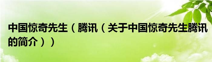 中国惊奇先生（腾讯（关于中国惊奇先生腾讯的简介））