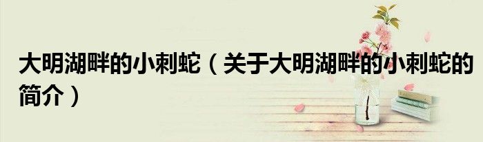 大明湖畔的小刺蛇（关于大明湖畔的小刺蛇的简介）