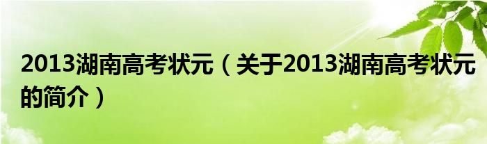 2013湖南高考状元（关于2013湖南高考状元的简介）