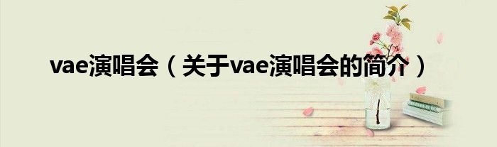 vae演唱会（关于vae演唱会的简介）