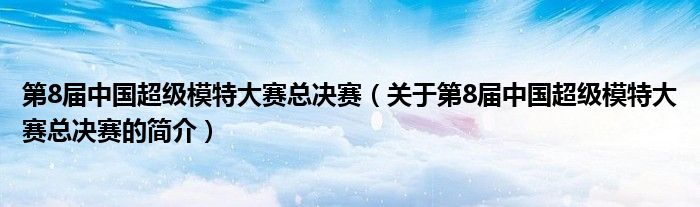 第8届中国超级模特大赛总决赛（关于第8届中国超级模特大赛总决赛的简介）