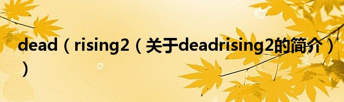 dead（rising2（关于deadrising2的简介））