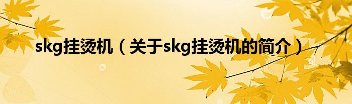 skg挂烫机（关于skg挂烫机的简介）
