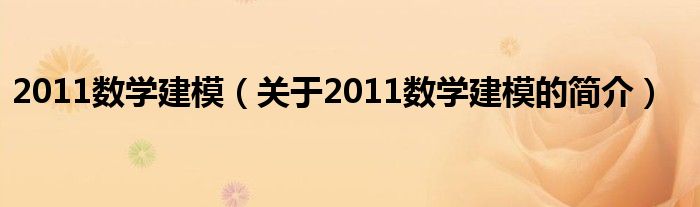 2011数学建模（关于2011数学建模的简介）