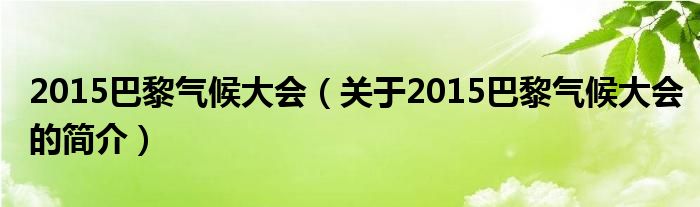 2015巴黎气候大会（关于2015巴黎气候大会的简介）