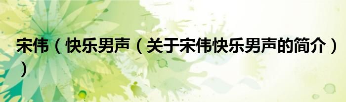 宋伟（快乐男声（关于宋伟快乐男声的简介））