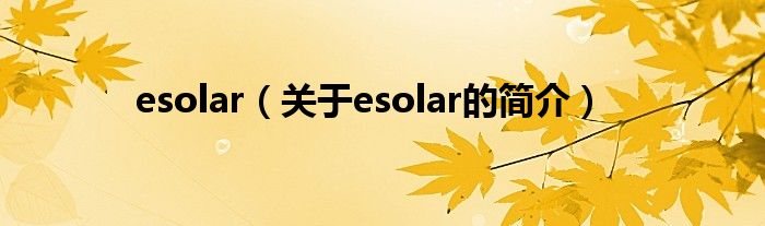 esolar（关于esolar的简介）