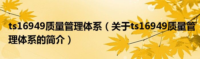 ts16949质量管理体系（关于ts16949质量管理体系的简介）