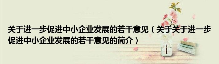 关于进一步促进中小企业发展的若干意见（关于关于进一步促进中小企业发展的若干意见的简介）