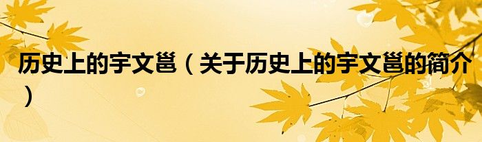 历史上的宇文邕（关于历史上的宇文邕的简介）