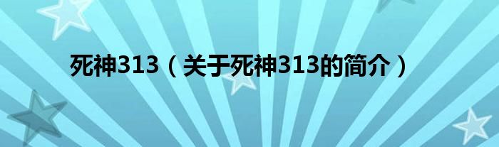 死神313（关于死神313的简介）