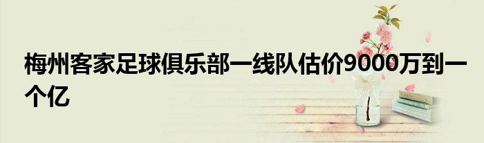 梅州客家足球俱乐部一线队估价9000万到一个亿