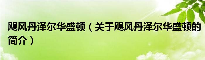飓风丹泽尔华盛顿（关于飓风丹泽尔华盛顿的简介）