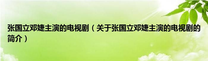 张国立邓婕主演的电视剧（关于张国立邓婕主演的电视剧的简介）