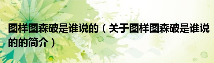 图样图森破是谁说的（关于图样图森破是谁说的的简介）