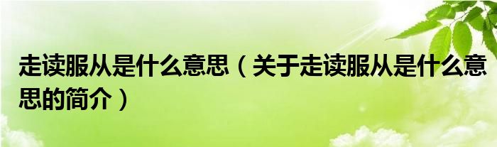 走读服从是什么意思（关于走读服从是什么意思的简介）