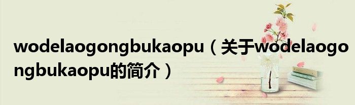 wodelaogongbukaopu（关于wodelaogongbukaopu的简介）
