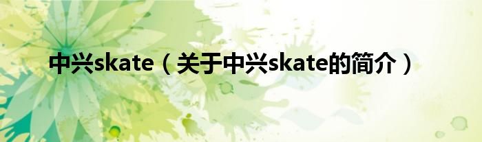 中兴skate（关于中兴skate的简介）