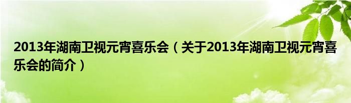 2013年湖南卫视元宵喜乐会（关于2013年湖南卫视元宵喜乐会的简介）