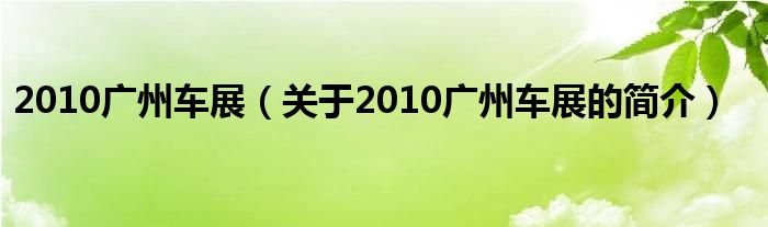 2010广州车展（关于2010广州车展的简介）
