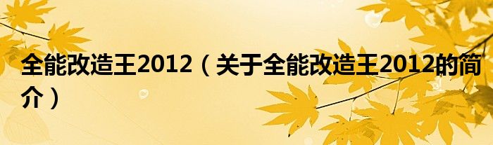 全能改造王2012（关于全能改造王2012的简介）