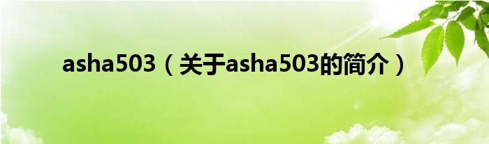 asha503（关于asha503的简介）