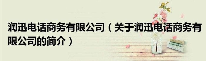 润迅电话商务有限公司（关于润迅电话商务有限公司的简介）
