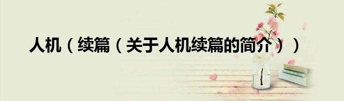 人机（续篇（关于人机续篇的简介））