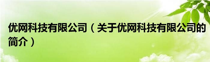 优网科技有限公司（关于优网科技有限公司的简介）