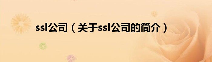 ssl公司（关于ssl公司的简介）