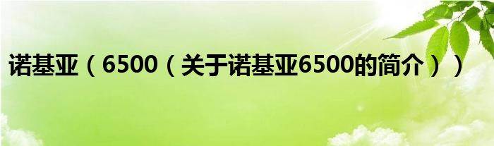 诺基亚（6500（关于诺基亚6500的简介））