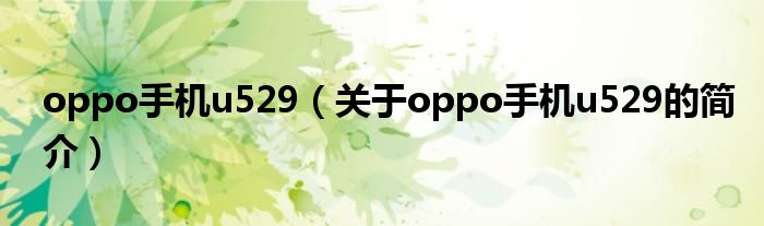 oppo手机u529（关于oppo手机u529的简介）