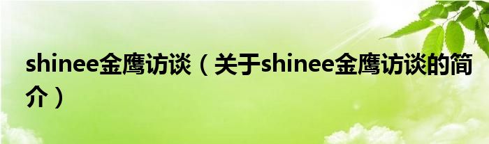 shinee金鹰访谈（关于shinee金鹰访谈的简介）