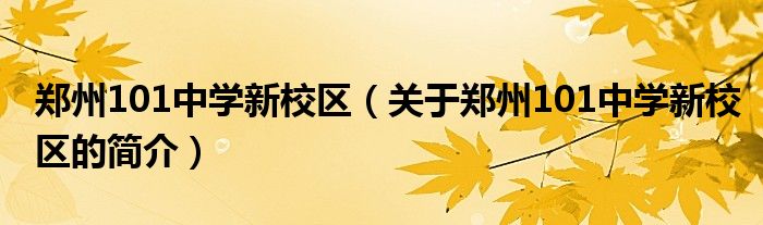 郑州101中学新校区（关于郑州101中学新校区的简介）