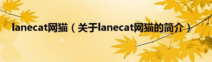 lanecat网猫（关于lanecat网猫的简介）