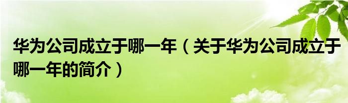 华为公司成立于哪一年（关于华为公司成立于哪一年的简介）