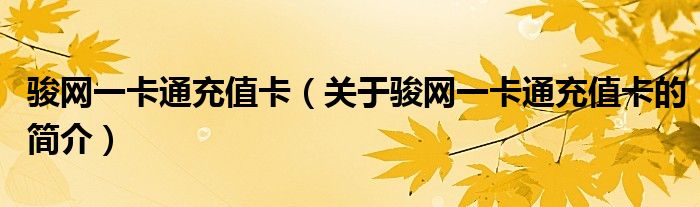 骏网一卡通充值卡（关于骏网一卡通充值卡的简介）