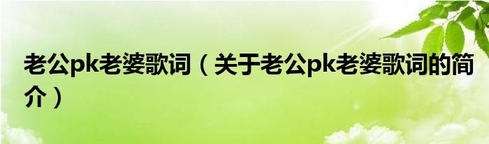 老公pk老婆歌词（关于老公pk老婆歌词的简介）